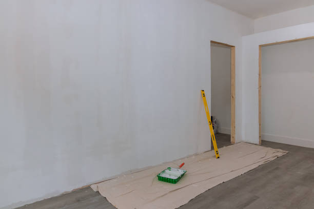 Best Mold Remediation for Rental Properties  in Sandusky, MI