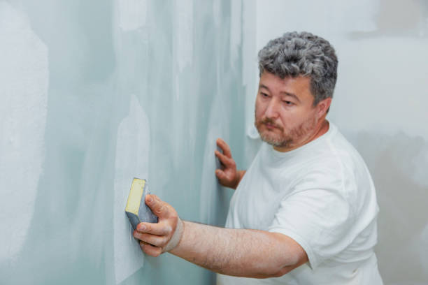 Best Dehumidification Services  in Sandusky, MI