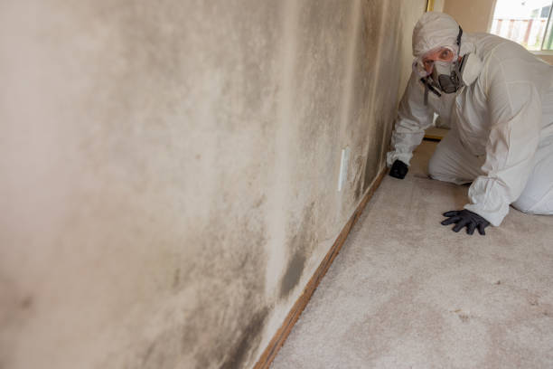 Best Mold Prevention Services  in Sandusky, MI