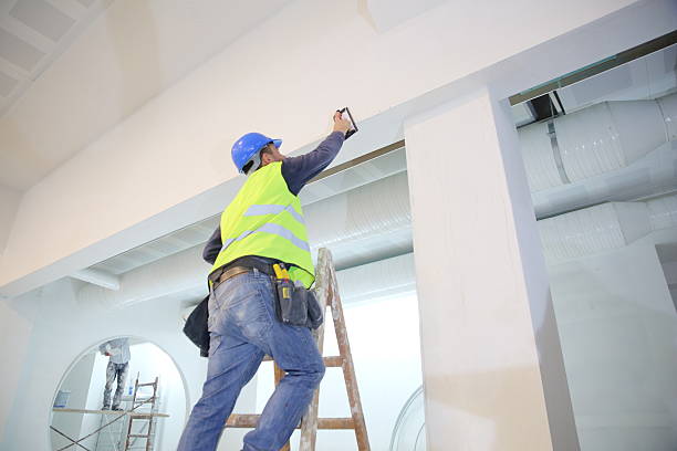 Forensic Mold Investigation in Sandusky, MI
