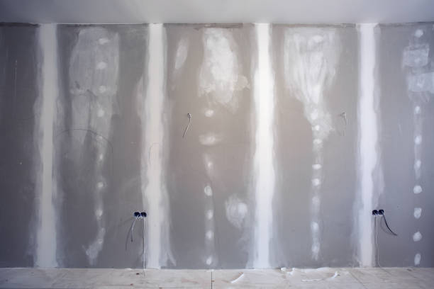 Trusted Sandusky, MI Mold Removal Experts